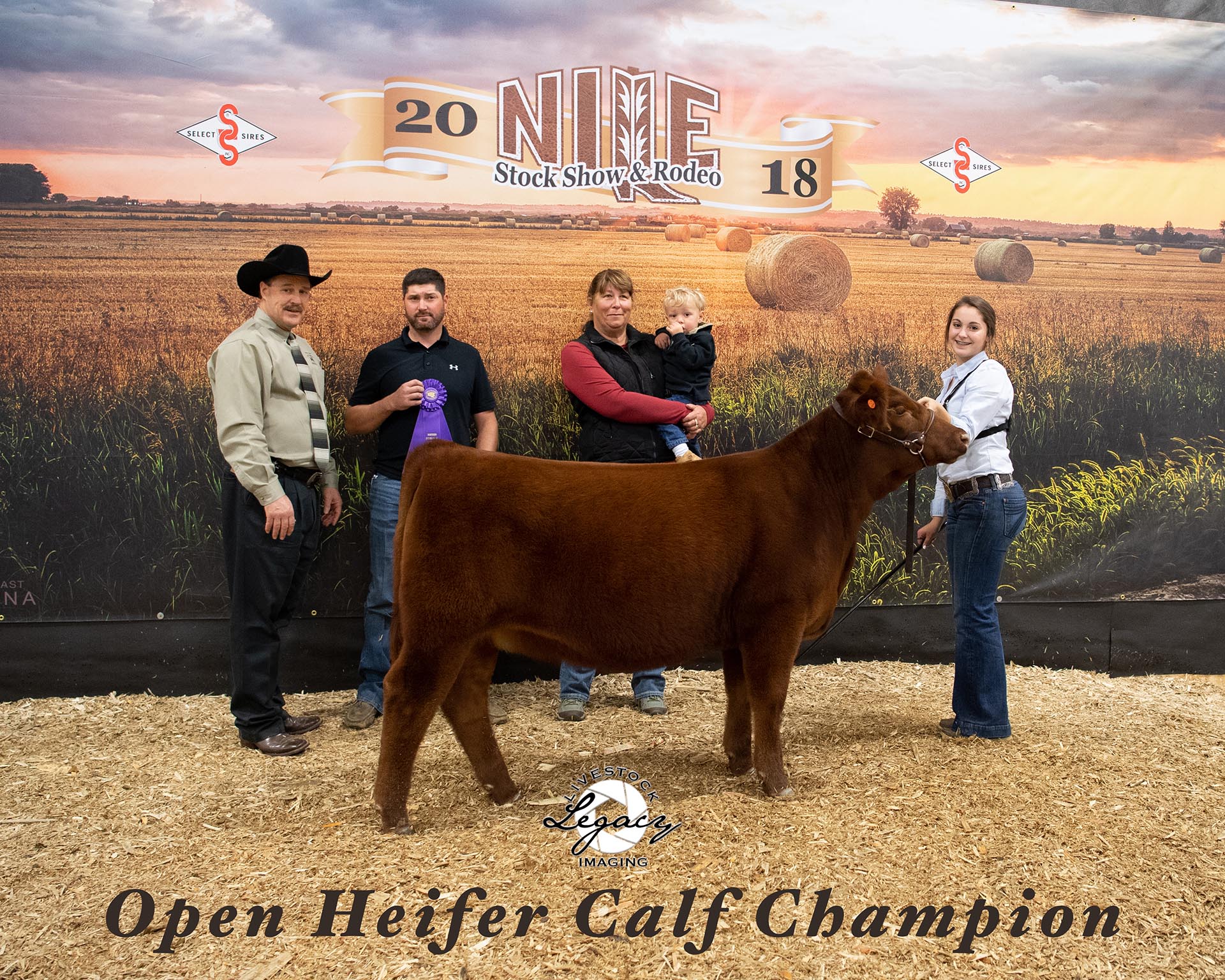 2018 NILE Red Angus Heifer Champion