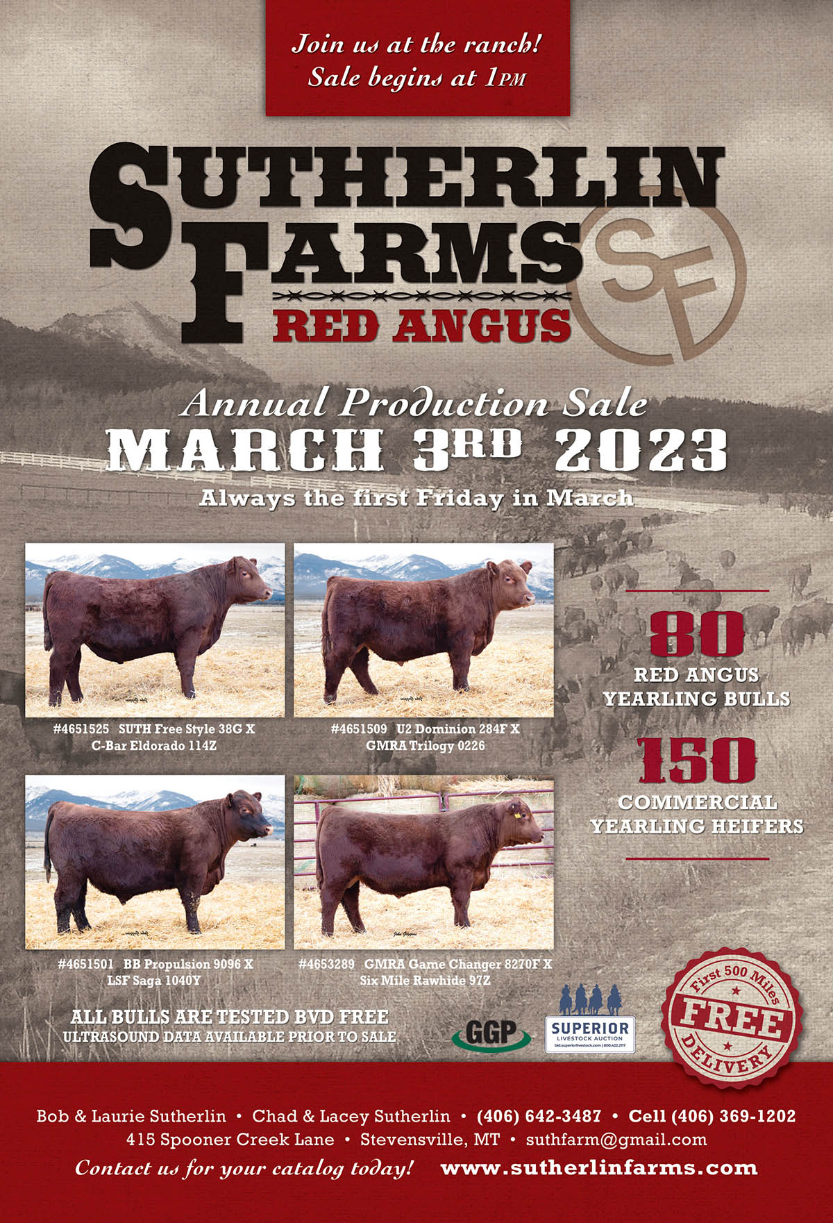 2023 Sutherlin Farms Red Angus Sale